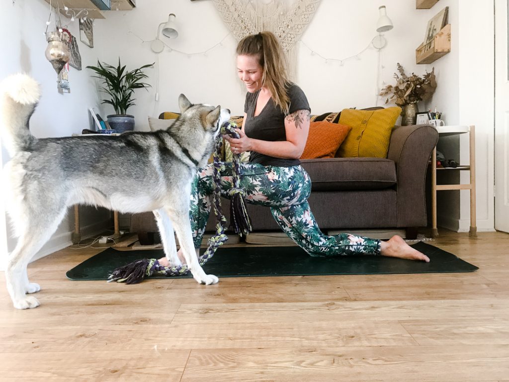 yoga with dogs 1 How to take your own yoga photos with a phone